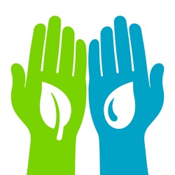 Non Profit